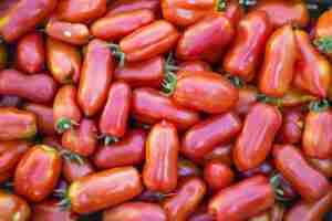 pomodori pomodori