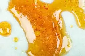 colofonia colofonia