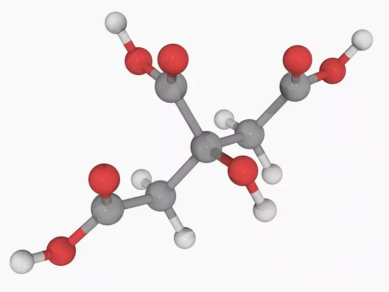 reazioni anaplerotiche