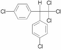 DDT