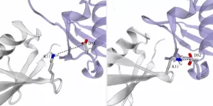 dynamic ion pairs dynamic ion pairs