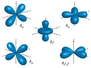 orbitali d orbitali d