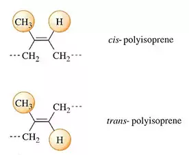 struttura cis e trans struttura cis e trans