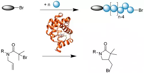 Atom Transfer Radical Polymerization Atom Transfer Radical Polymerization