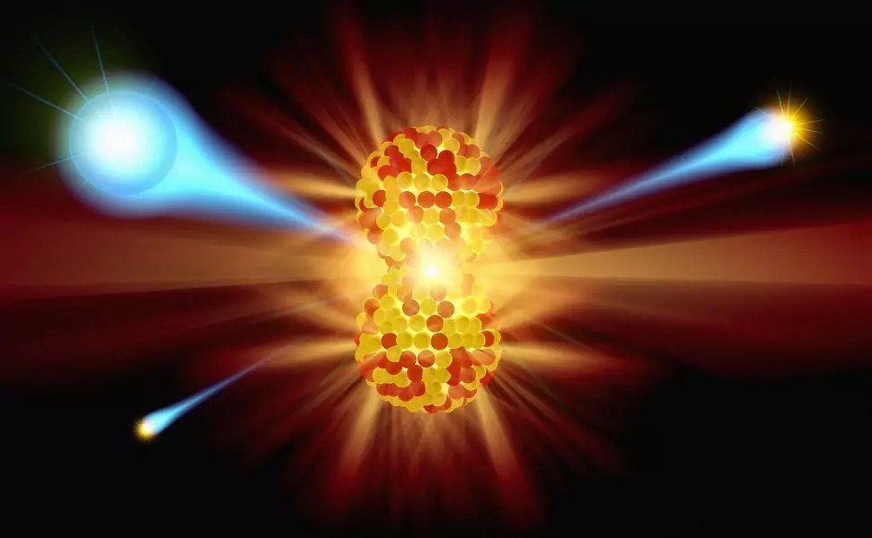 forza nucleare debole