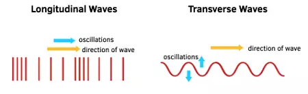 onde trasversali e longitudinali onde trasversali e longitudinali
