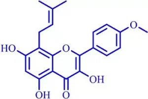 flavonoidi prenilati flavonoidi prenilati