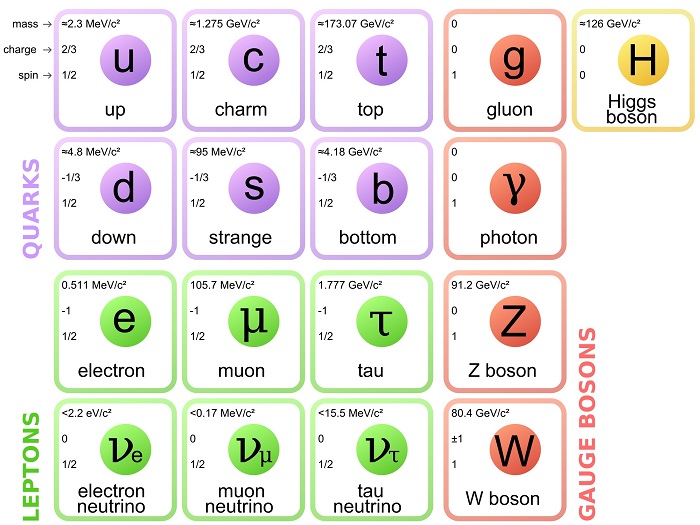 particelle elementari