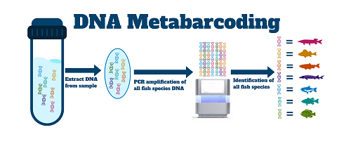 Metabarcoding