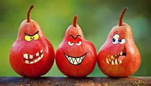 alimenti convenzionali alimenti convenzionali