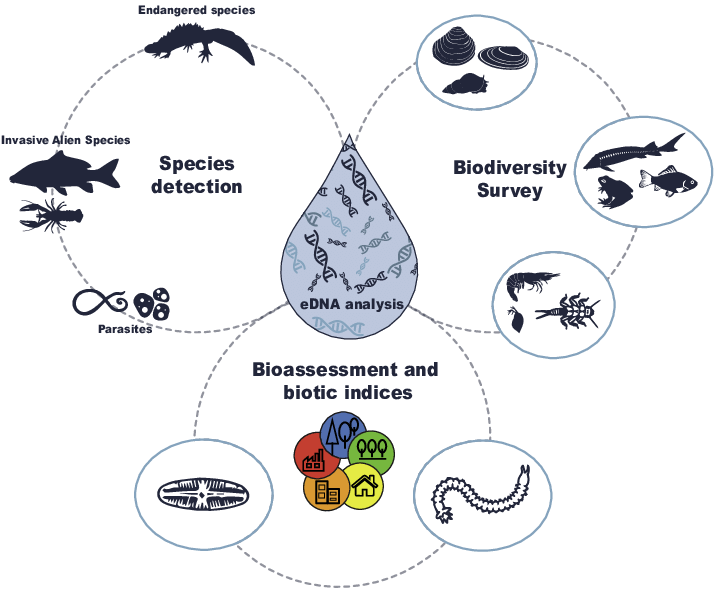 applicazioni del DNA ambientale