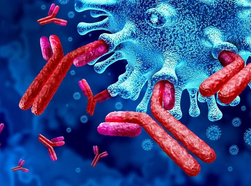immunoglobuline