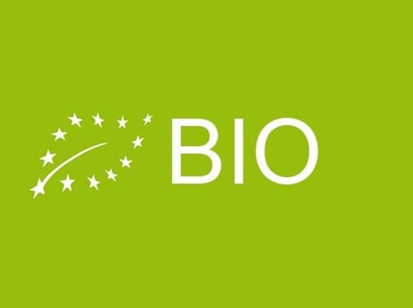 logo UE