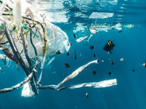 minacce alla biodiversità marina