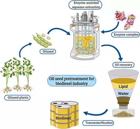 produzione di biodiesel produzione di biodiesel