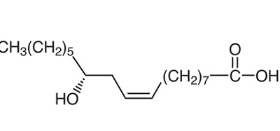 struttura