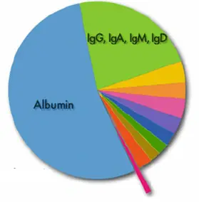 composizione delle sieroproteine composizione delle sieroproteine