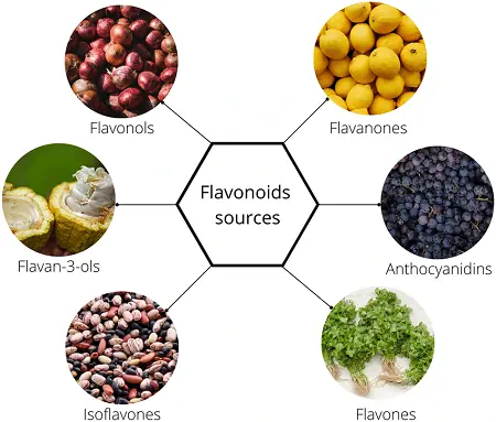 flavonoidi flavonoidi