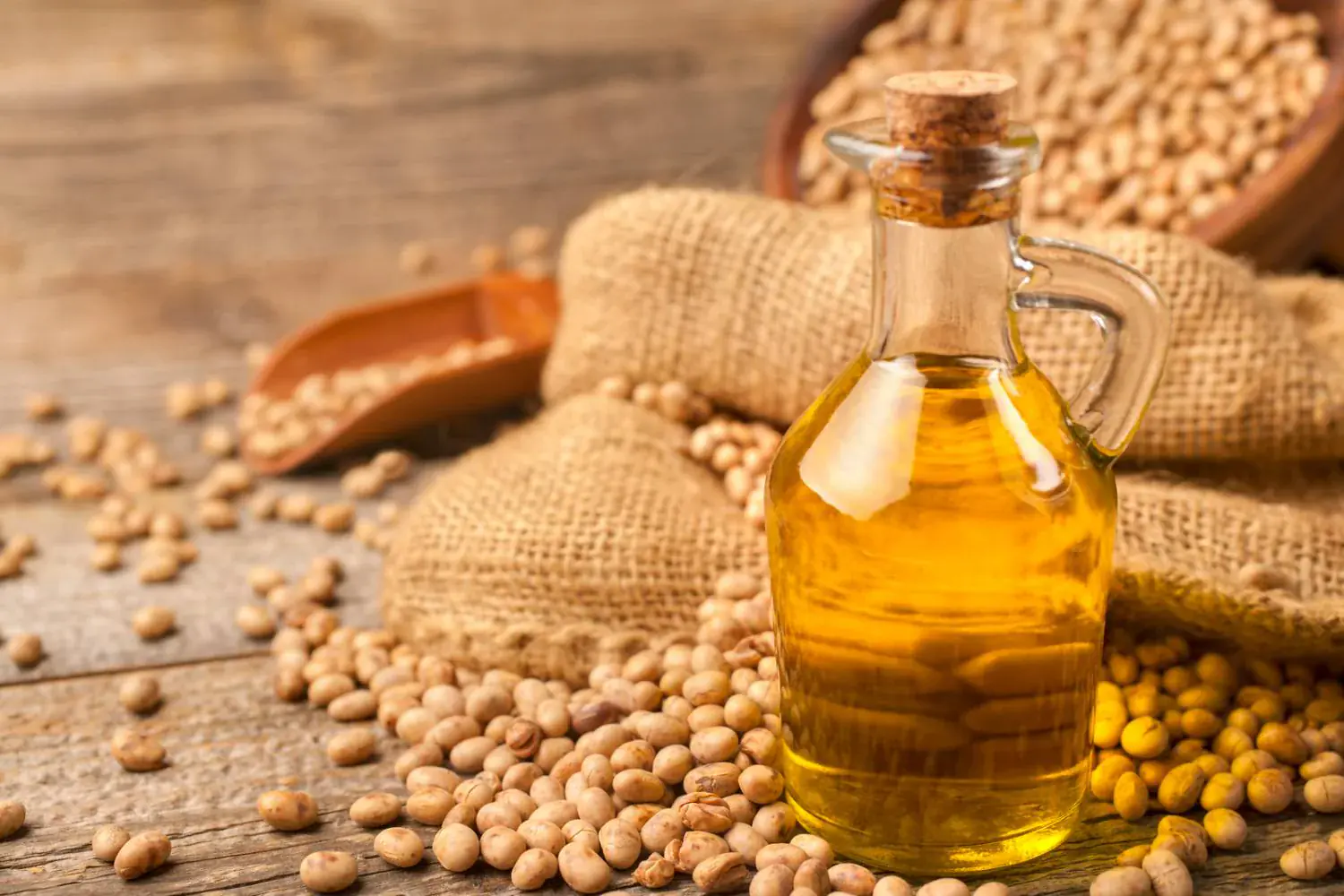 olio di soia