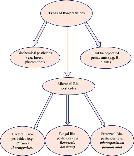 Classificazione dei biopesticidi