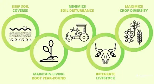agricoltura rigenerativa agricoltura rigenerativa