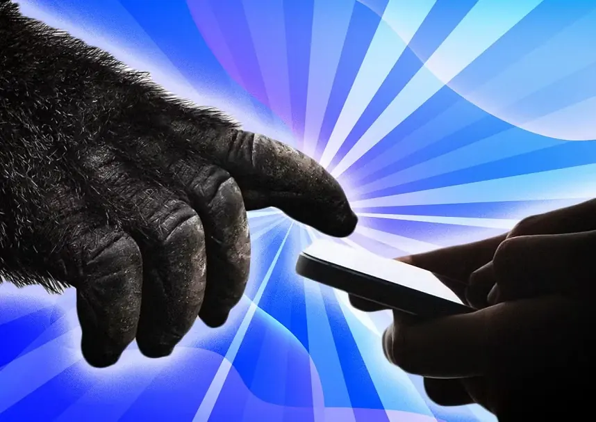 gorilla glass