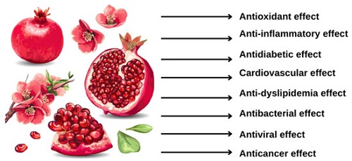 potenziali benefici del melograno