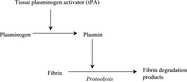 Attivatore tissutale del plasminogeno