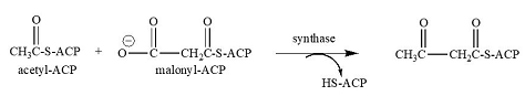 Caricamento dei substrati sulla ACP