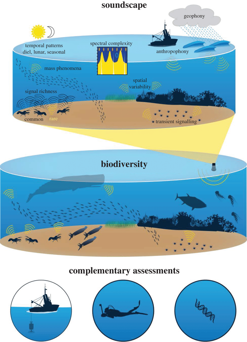 Valutazione della biodiversità con la bioacustica
