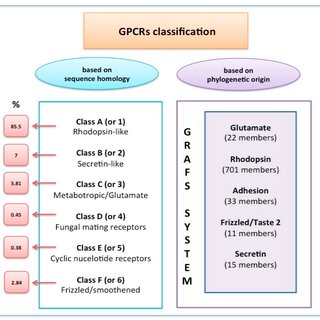 classificazione dei recettori accoppiati alle proteine G