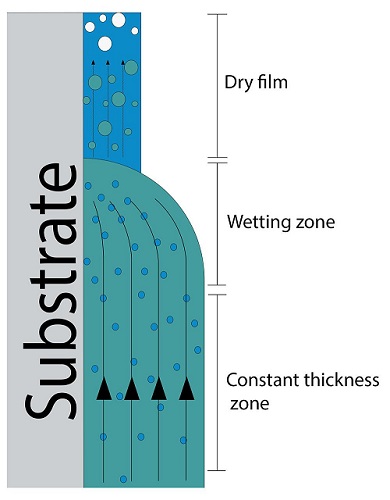 dinamica dell'essiccazione nel dip coating