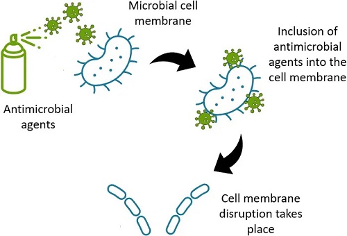 meccanismo di azione dei biocidi