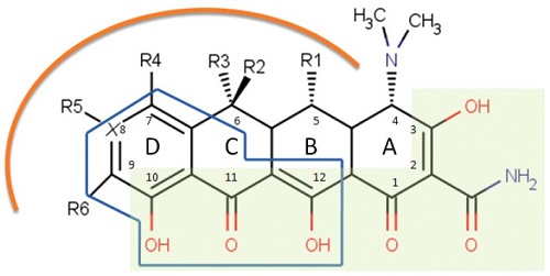 struttura delle tetracicline