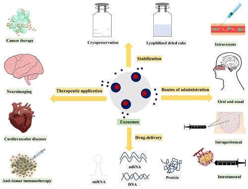 applicazioni biomediche degli esosomi