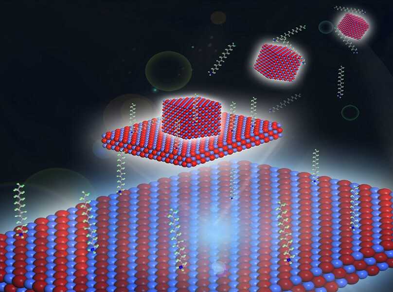 nanoparticelle-di-ossido-di-ferro