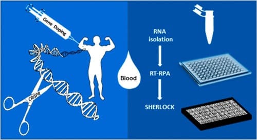 Doping genetico e metodi proibiti nello sport