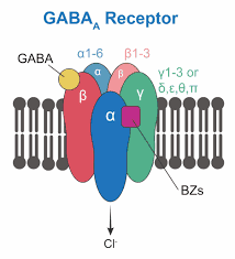 GABA