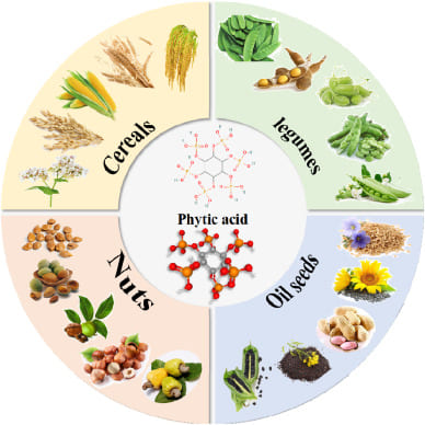 alimenti ricchi di fitati