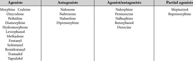 classificazione degli oppioidi