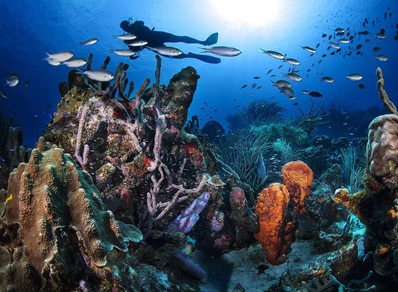 gas misti nelle immersioni subacquee