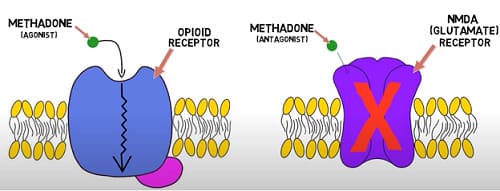 meccanismo di azione del metadone