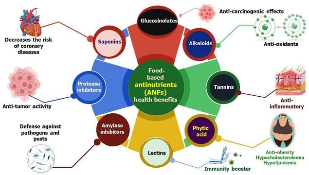 possibili benefici-degli-antinutrienti