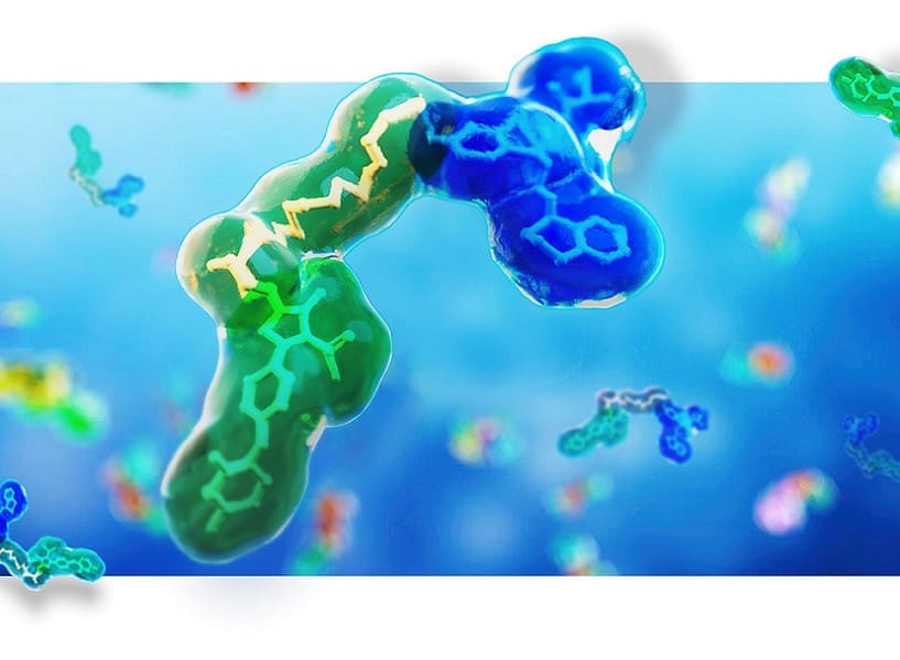 proteolisi
