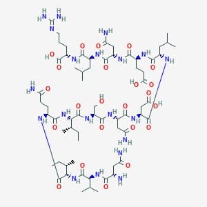 struttura