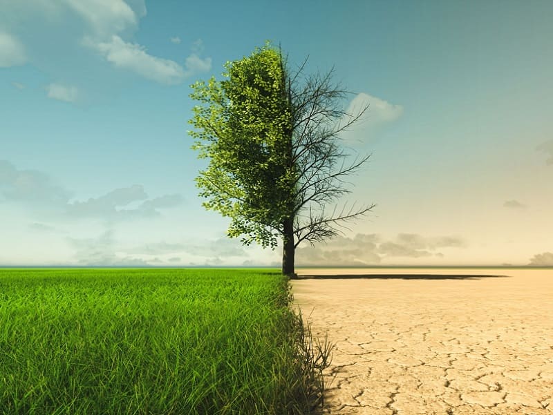 Adattamento ai cambiamenti climatici