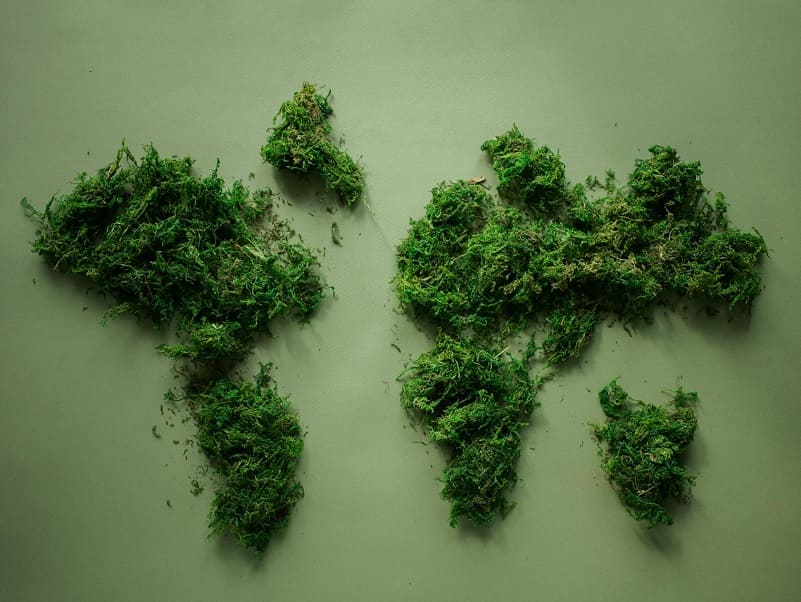Earth Overshoot Day