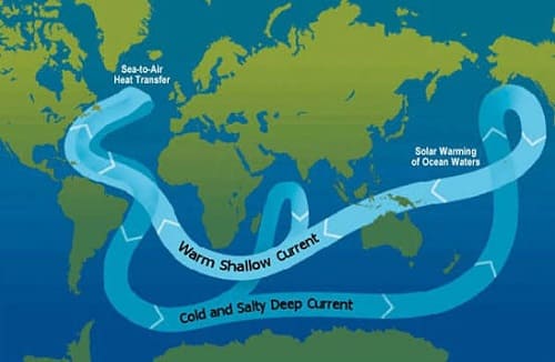 Global Ocean Conveyor Belt