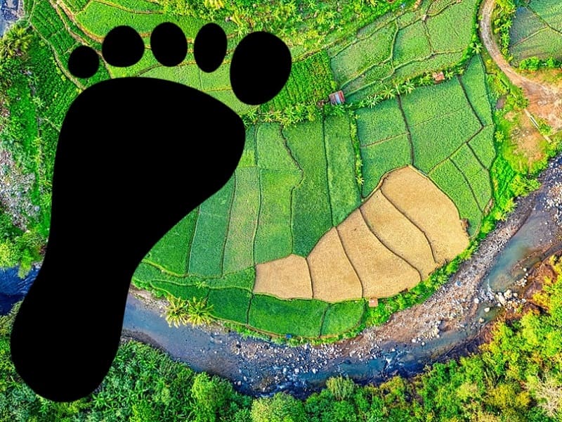 biocapacità