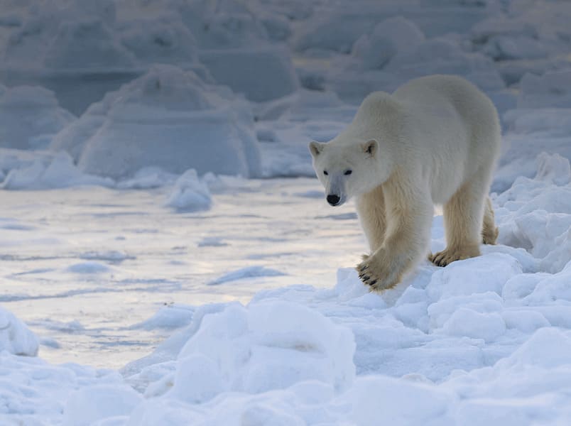 fasce climatiche